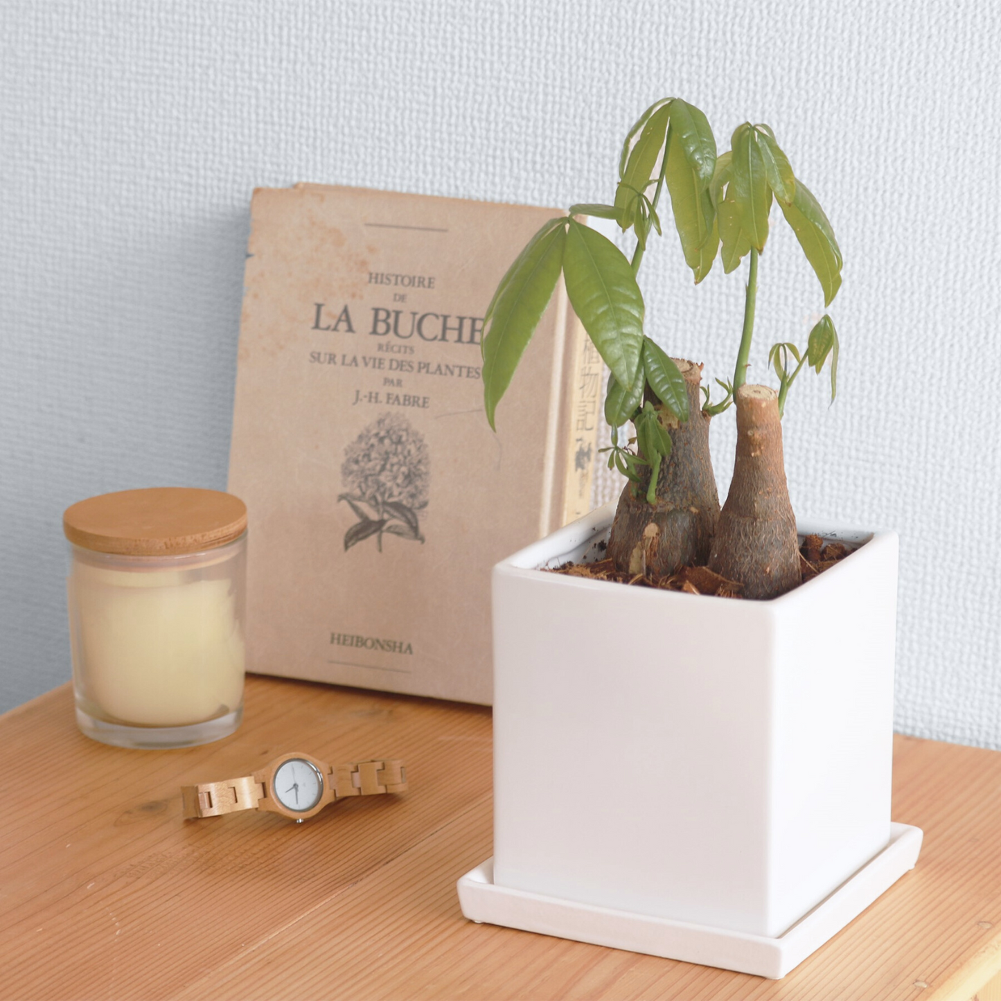 Hiuchi 闇炎モデル06 植木鉢 XLサイズ カタチ Hiuchi 闇炎モデル06 Hiuchi 闇炎モデル06 植木鉢 XLサイズ カタチ Hiuchi 闇炎モデル06