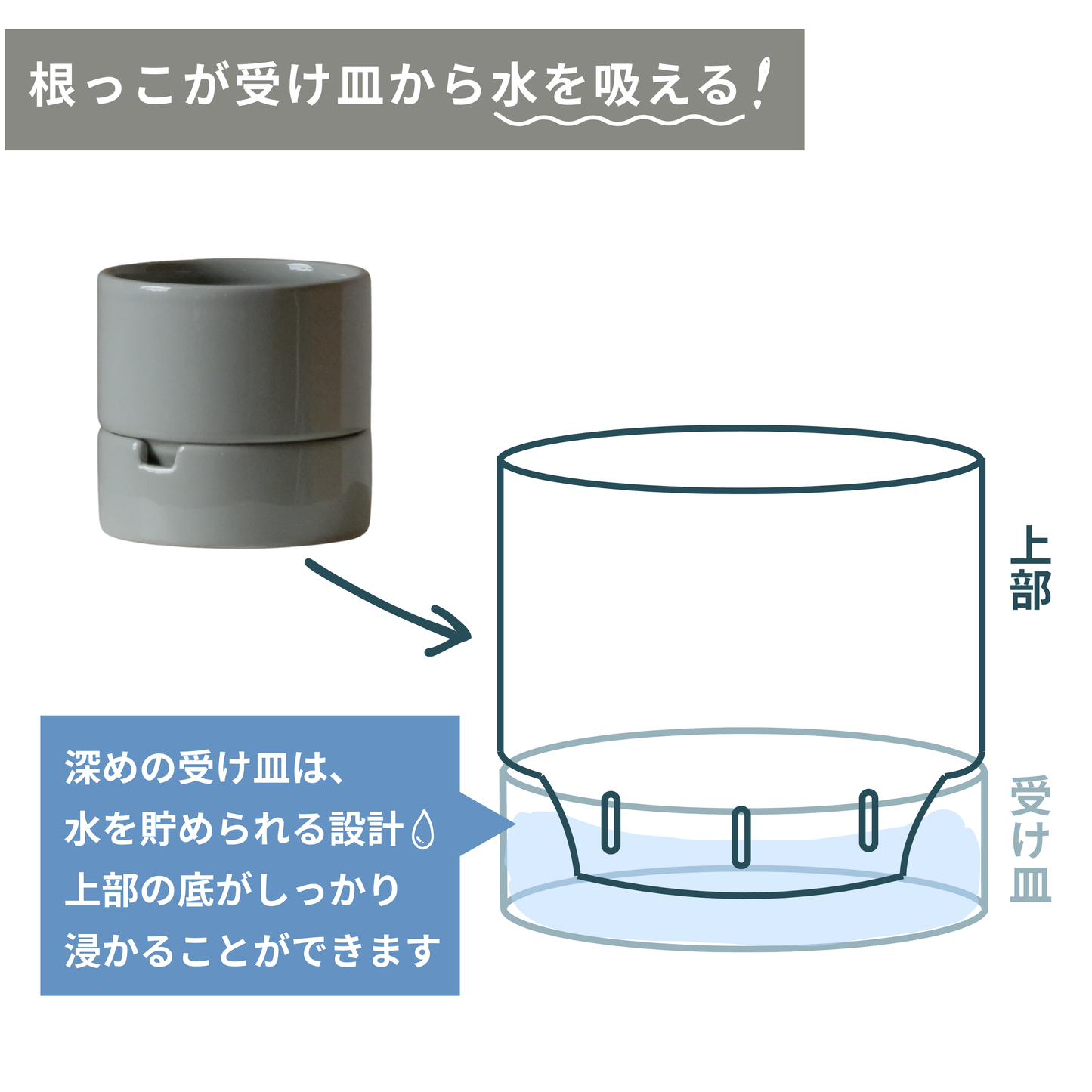 すーさん　Sサイズ