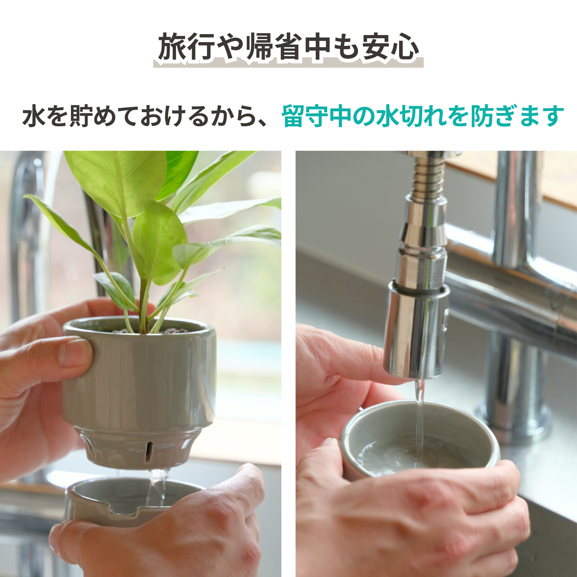 食虫植物・ハイドロカルチャーにぴったり|陶器 植木鉢|3号|すーさん 食虫植物・ハイドロカルチャーにぴったり|陶器 植木鉢|3号|すーさん