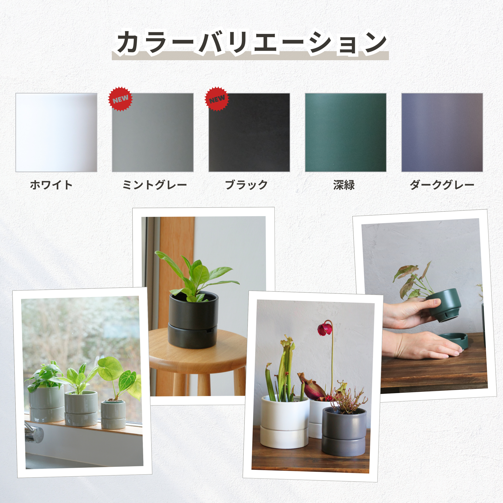 食虫植物・ハイドロカルチャーにぴったり|陶器 植木鉢|4号|すーさん 食虫植物・ハイドロカルチャーにぴったり|陶器 植木鉢|4号|すーさん
