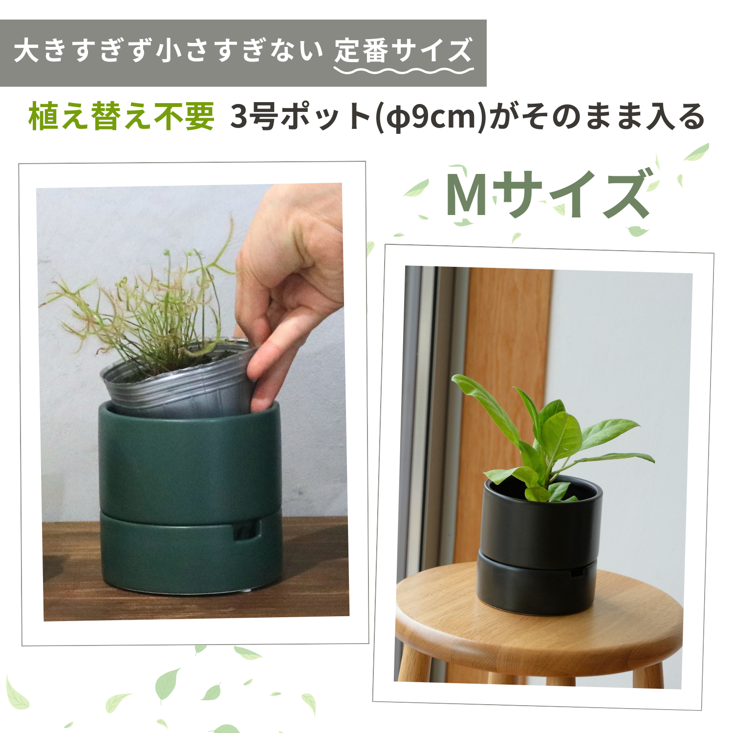 食虫植物・ハイドロカルチャーにぴったり|陶器 植木鉢|3号|すーさん 食虫植物・ハイドロカルチャーにぴったり|陶器 植木鉢|3号|すーさん