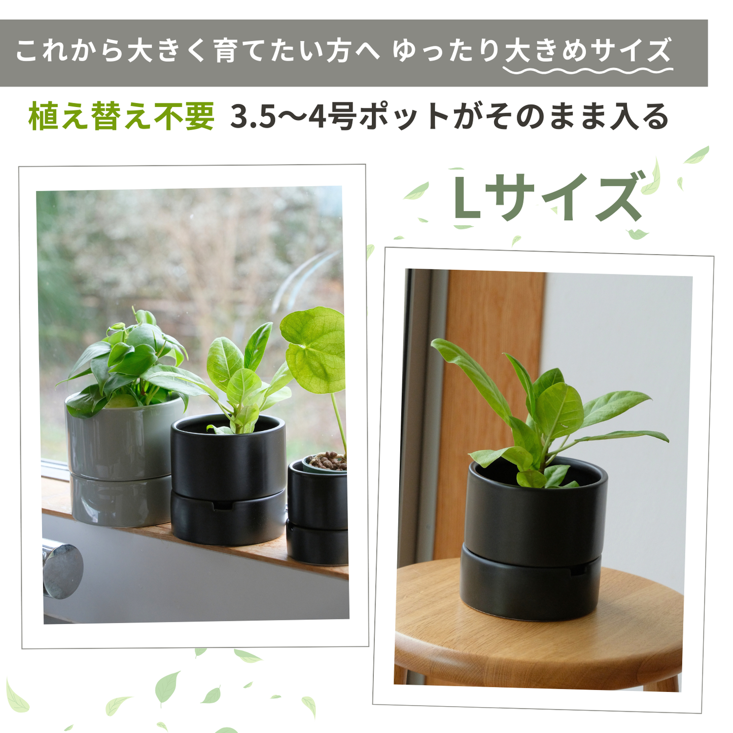 すーさん　Lサイズ