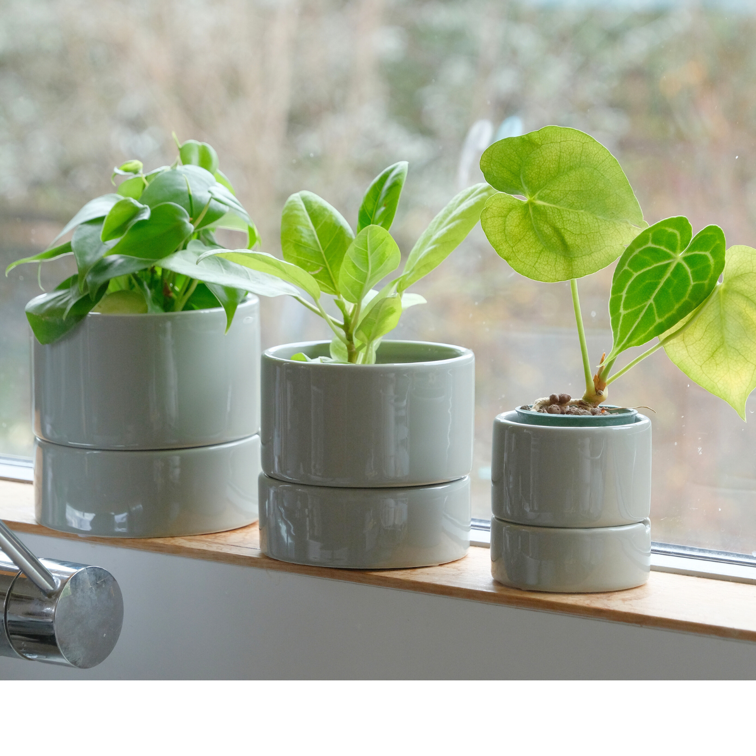 食虫植物・ハイドロカルチャーにぴったり｜陶器 植木鉢｜2号｜すーさん