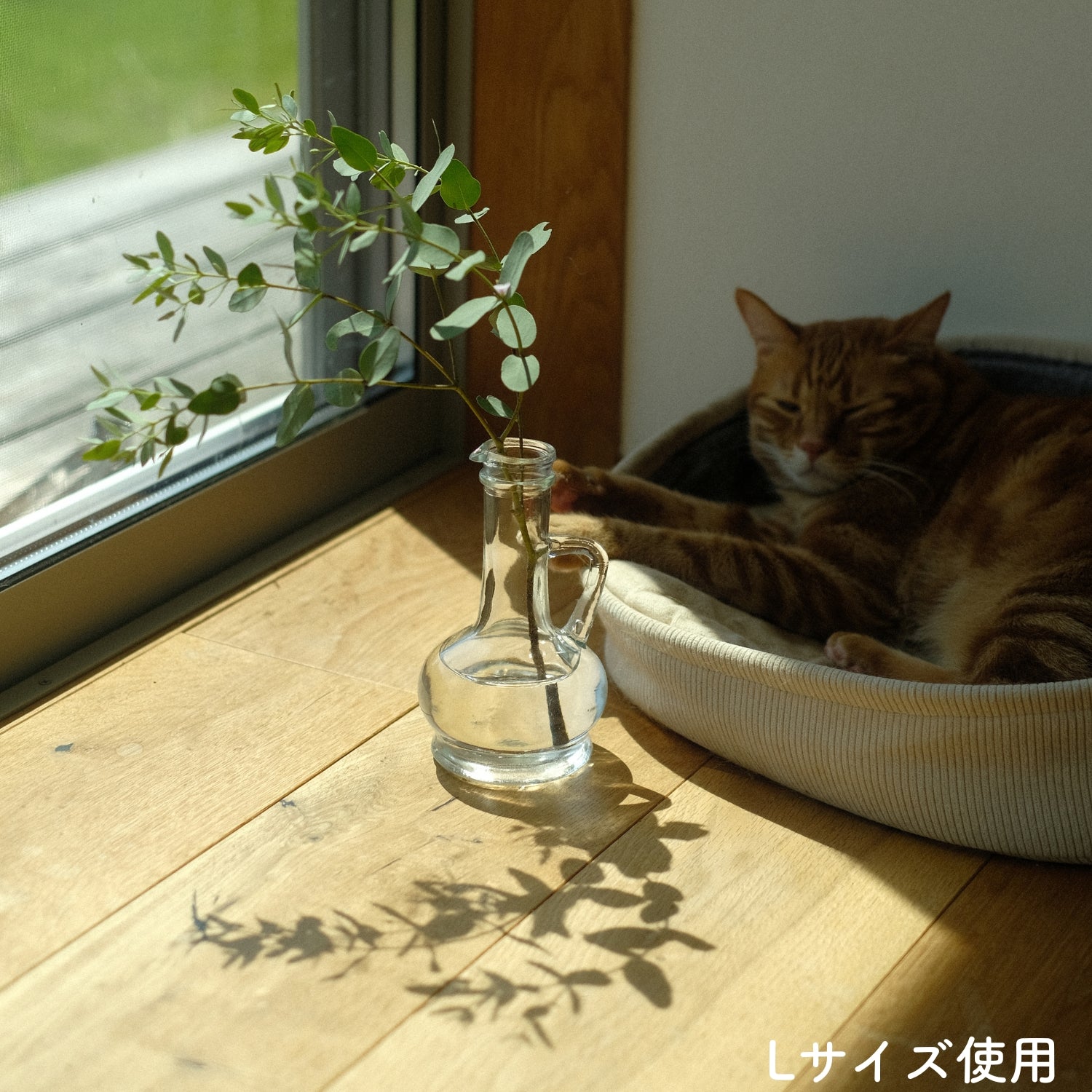 ガラスの花瓶｜一輪挿し｜セット｜とうめい｜おしゃれ