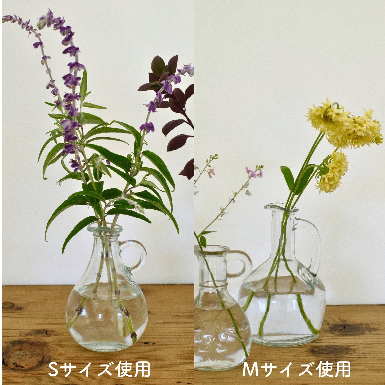 とっておきさん Sサイズ