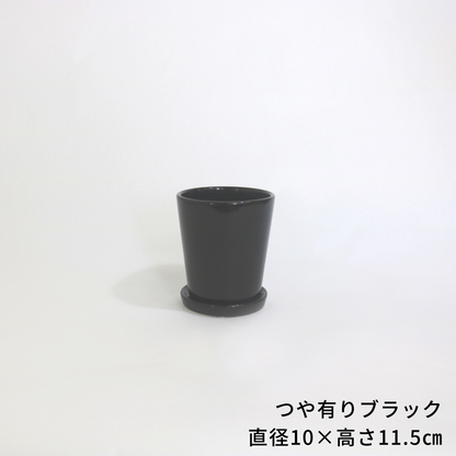 卓上にんじんさん