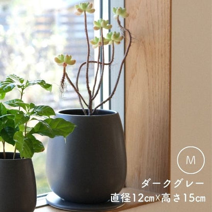 たまごさん　Mサイズ