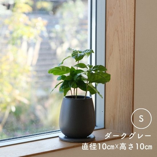 シンプルな植木鉢専門店｜観葉植物や塊根植物、盆栽にぴったりな陶器の鉢が多数 – onajimi