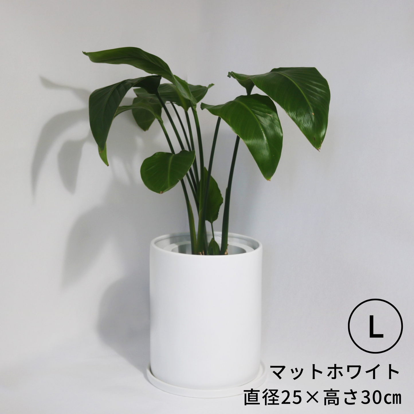 のっぽな円柱さん　Lサイズ
