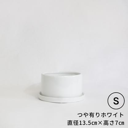 円柱さん　Ｓサイズ