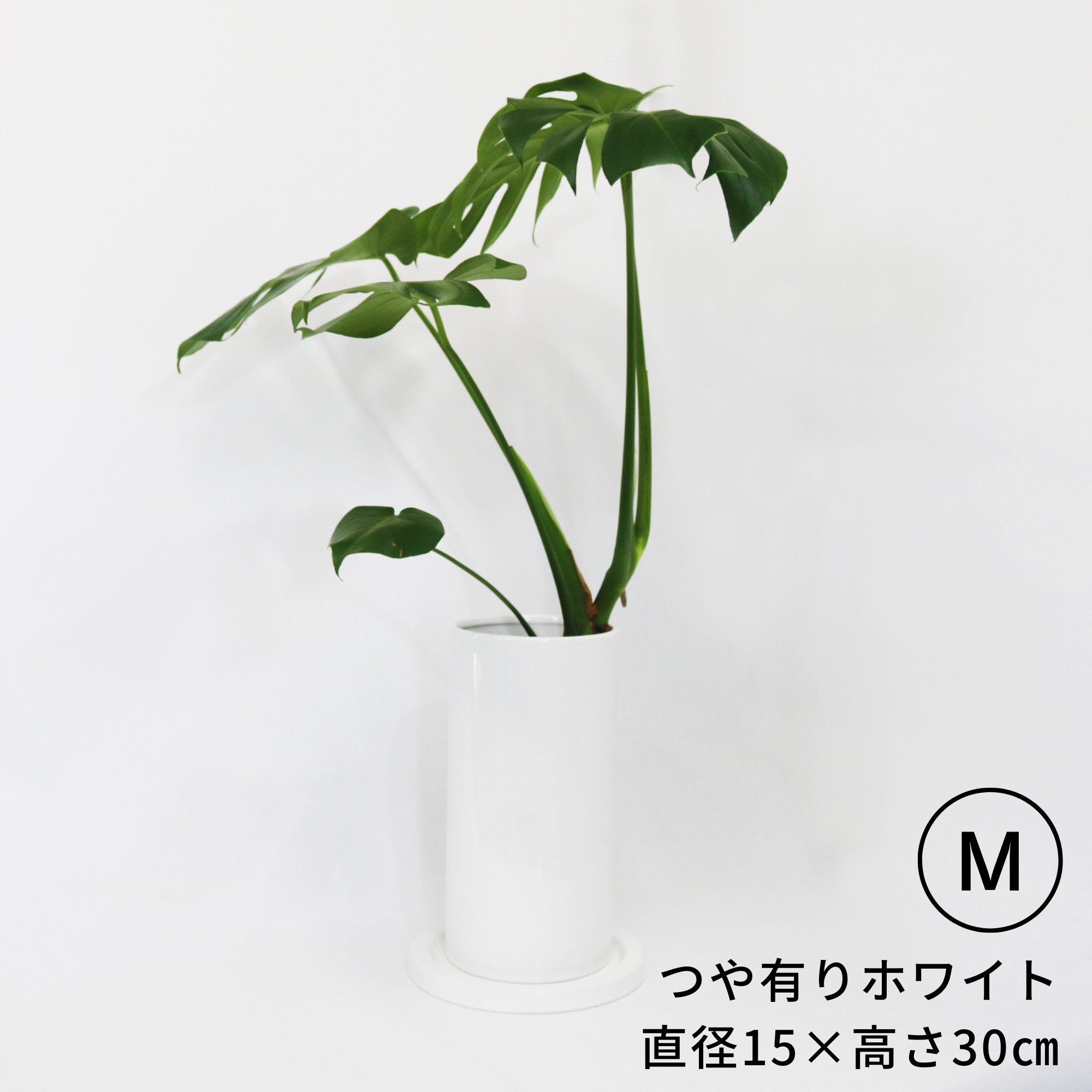 のっぽな円柱さん　Mサイズ