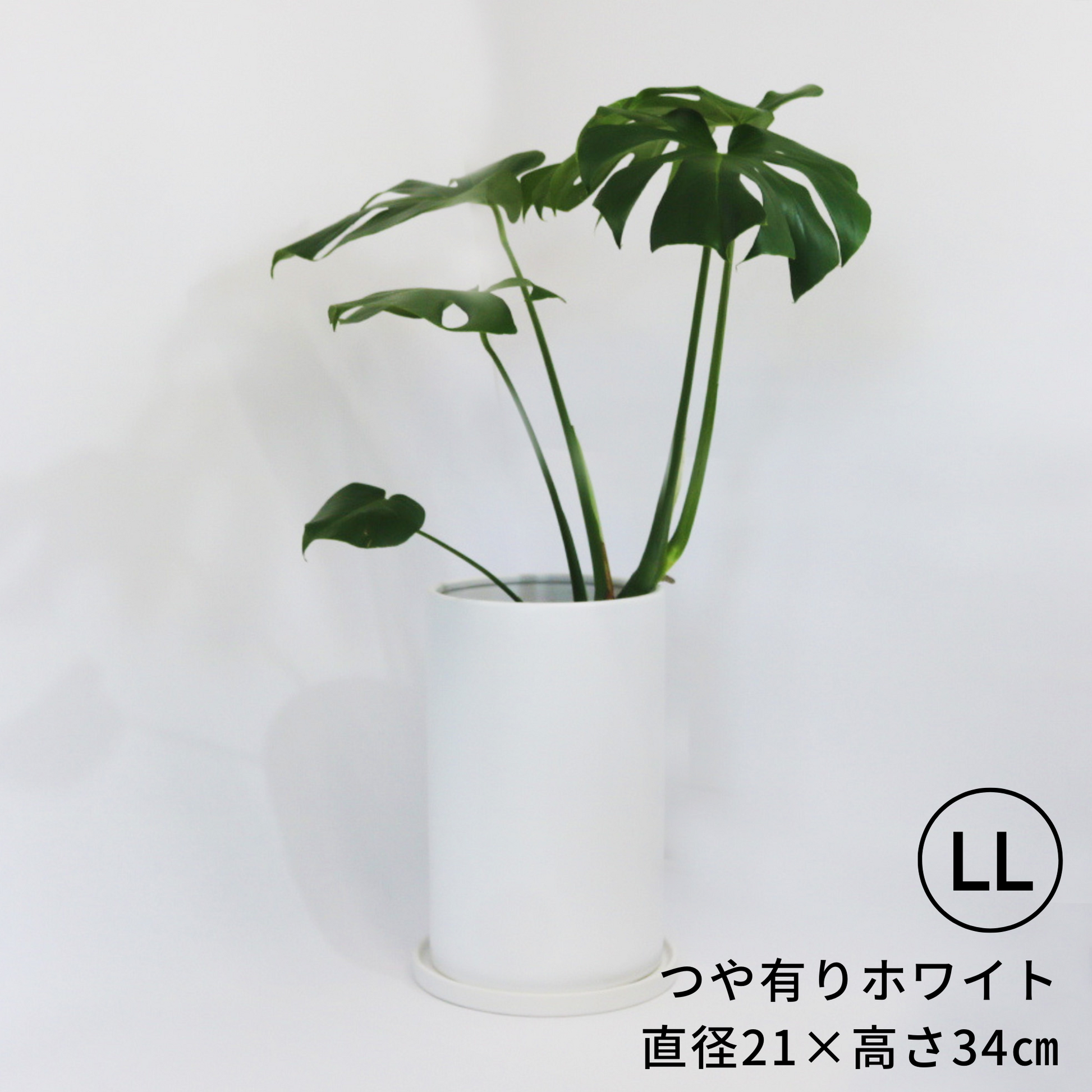 い*お様 植木鉢まとめて planter_white_pp0143_1_6a75c50