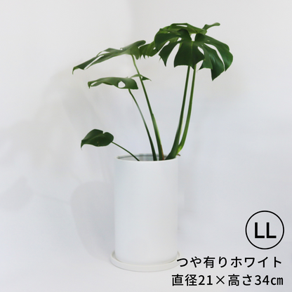 植木鉢|床置き|白色|室内用|のっぽな円柱さん_LL@鉢の専門 植木鉢|床置き|白色|室内用|のっぽな円柱さん_LL@鉢の専門