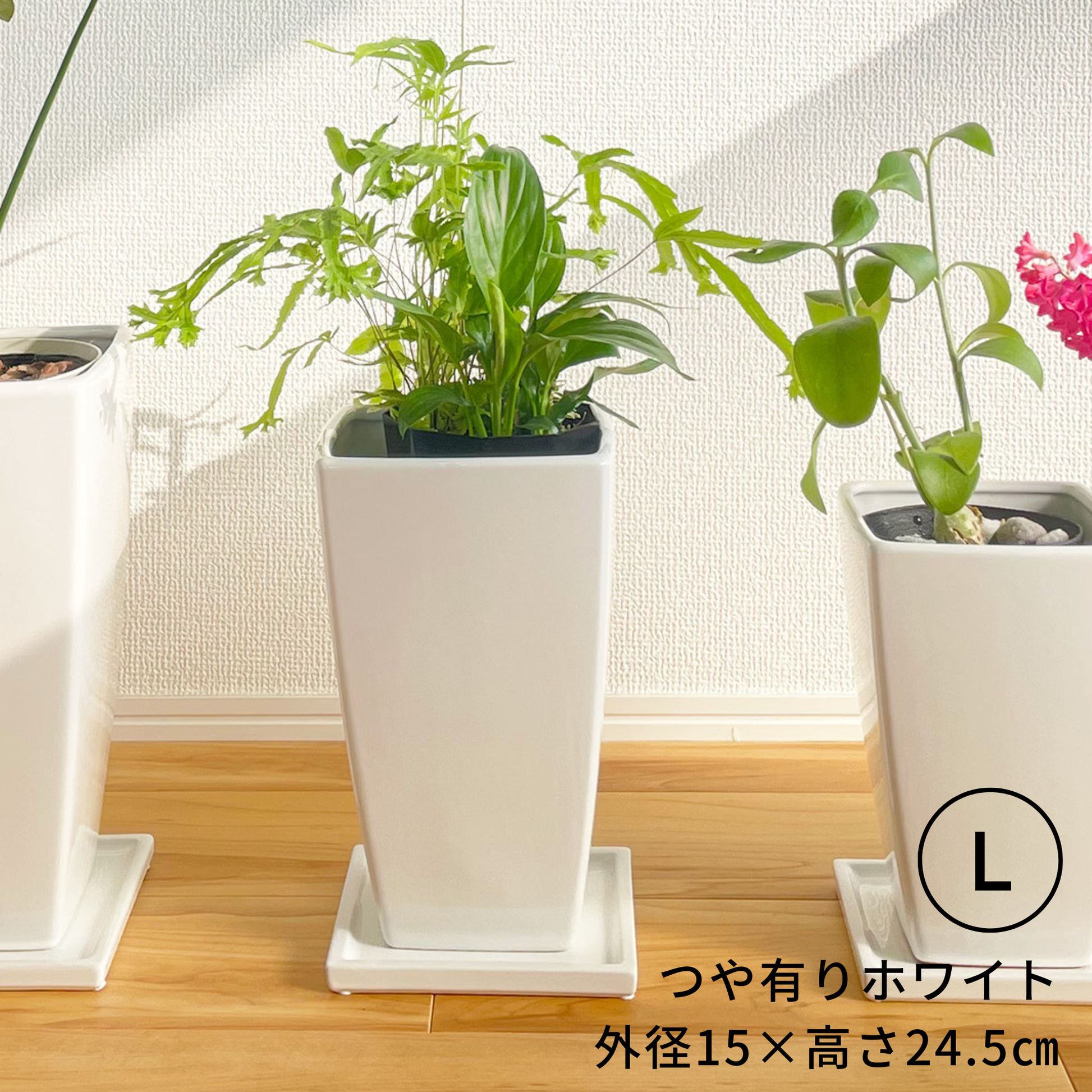 植木鉢|中型|白色|多肉植物|にんじんさん四角_S@鉢の専門店 植木鉢|中型|白色|多肉植物|にんじんさん四角_S@鉢の専門店