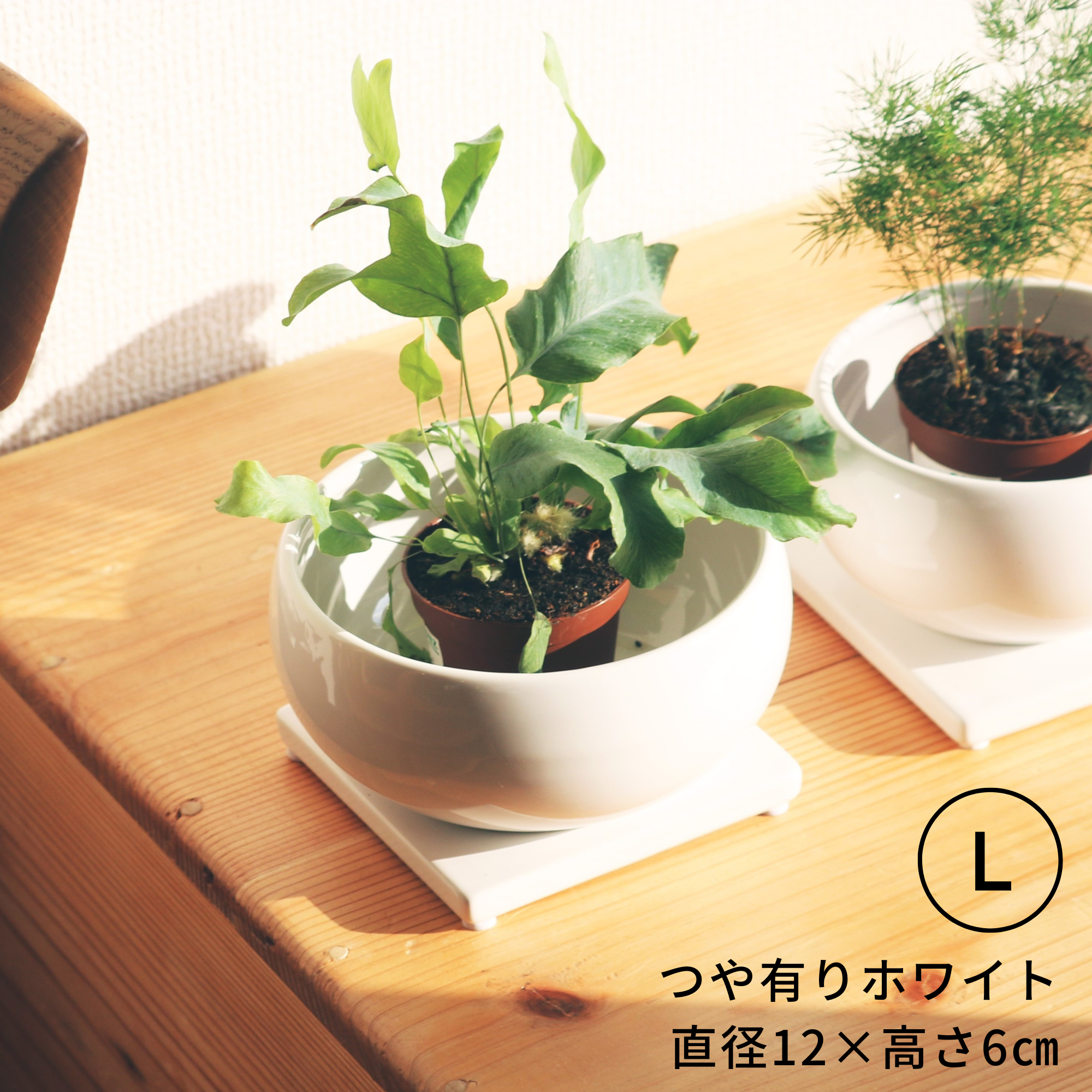 植木鉢と花瓶の専門店onajimiオリジナル美濃焼・和モダンの鉢